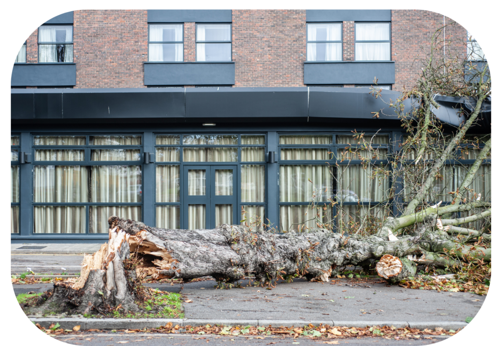 Expand Business with Our Wind Deductible Buy Back Policy Lane