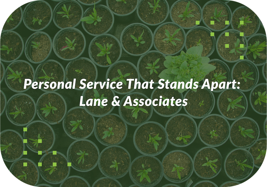 Personal Service That Stands Apart: Lane & Associates